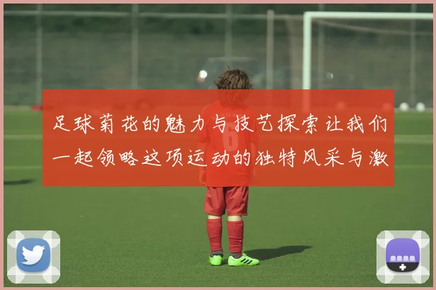 足球菊花的魅力与技艺探索让我们一起领略这项运动的独特风采与激情