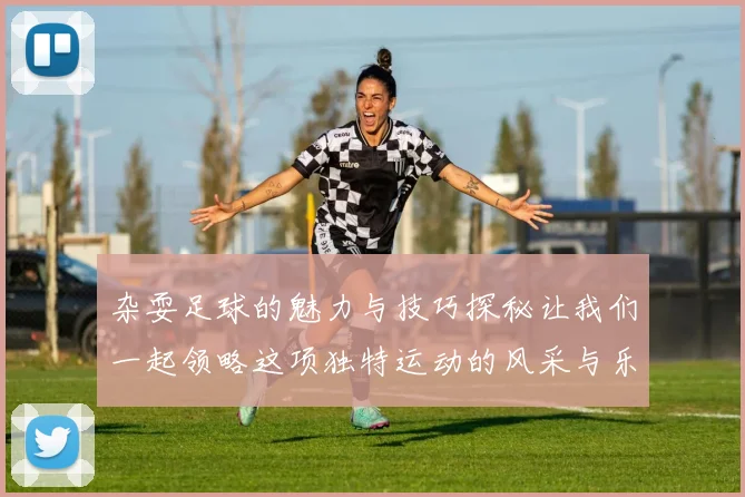 杂耍足球的魅力与技巧探秘让我们一起领略这项独特运动的风采与乐趣