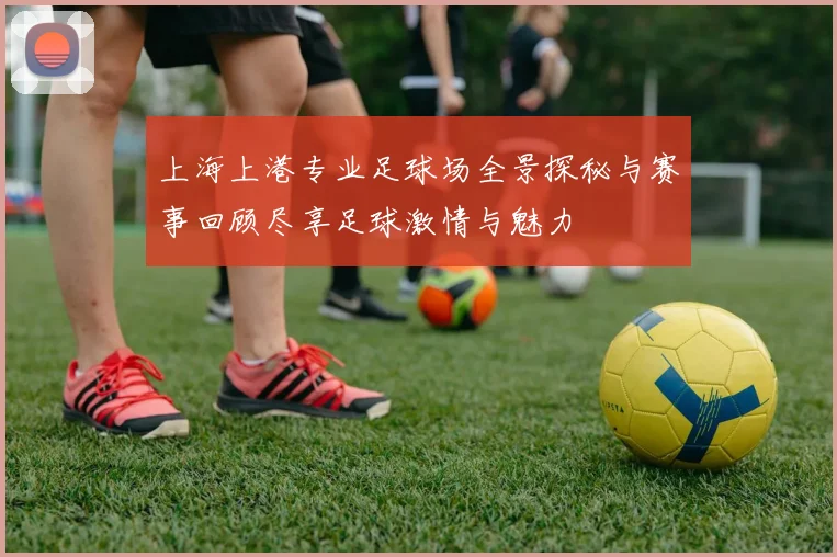 上海上港专业足球场全景探秘与赛事回顾尽享足球激情与魅力