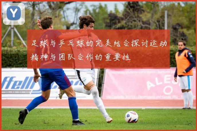 足球与乒乓球的完美结合探讨运动精神与团队合作的重要性