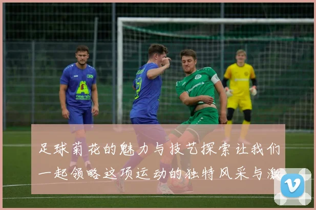 足球菊花的魅力与技艺探索让我们一起领略这项运动的独特风采与激情