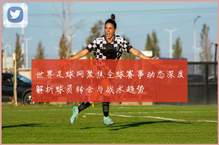 世界足球网聚焦全球赛事动态深度解析球员转会与战术趋势